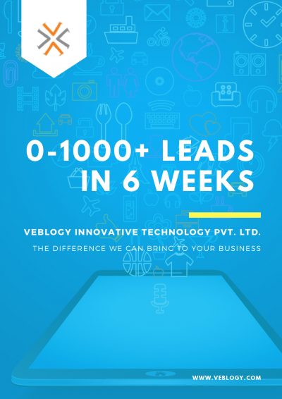 veblogy-digitalmarketing-casestudy